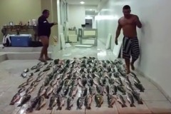 Homem divulga video ironizando a pesca esportiva e o pesque e solte 2
