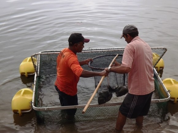 Só em janeiro, Secretaria da Pesca beneficiou mais de mil famílias em Alagoas