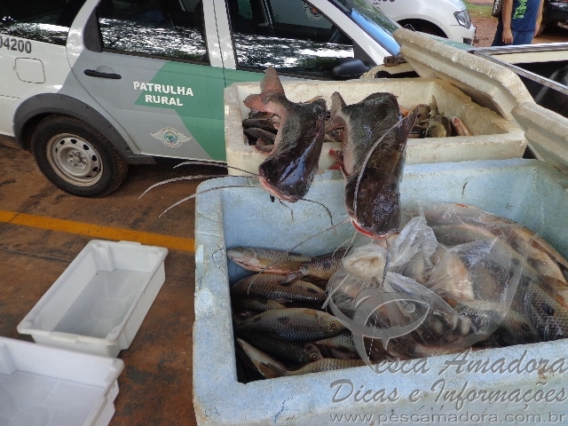 Polícia Ambiental de Votuporanga-SP apreende 119kg de pescado