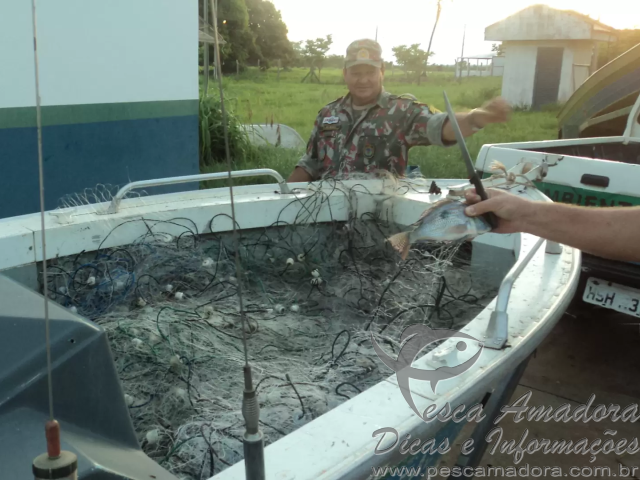 PMA do MS retira 2 km de redes dos rios Pardo e Paraná e solta 45 kg de peixes vivos