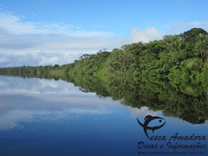 img_kalua_amazonia