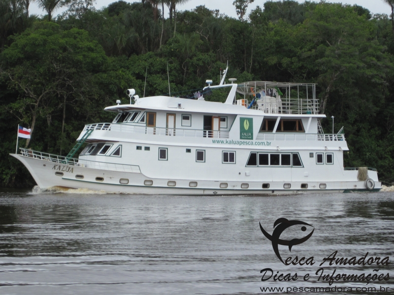 Wireless Headphones are now on Market