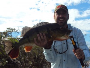 img_kalua_wellerson-