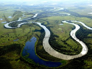 Proteção do bioma pantaneiro será discutido nessa segunda (31)