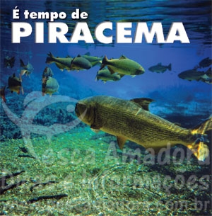 piracema01