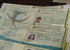 carteira_pescador_profissional