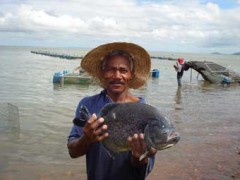 codevasf-piscicultor