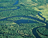 Peixes esportivos da Amazônia