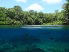 img-mato-grosso-do-sul