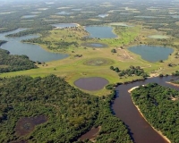 Peixes esportivos do Pantanal