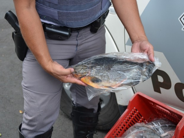 Sem pesca não tem o que comer, diz idosa presa com peixe em Piracicaba