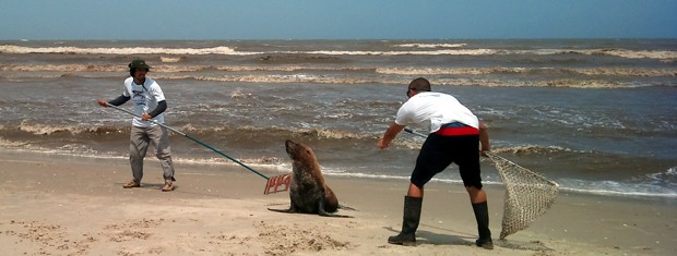 Parque da Lagoa do Peixe enfrenta problemas com pesca irregular no RS