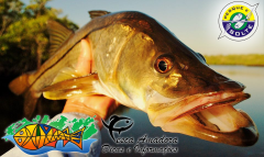 img-preservacao-robalo