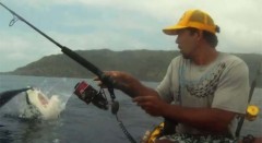 pesca-caiaque-tubarao