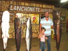 pintado-pesca-predatoria