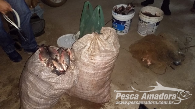 PM apreende 163 kg de pescado irregular e material ilegal de pesca em Aroazes (PI)