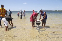 210 mil alevinos sao inseridos em barragem para conter piranhas no Piaui