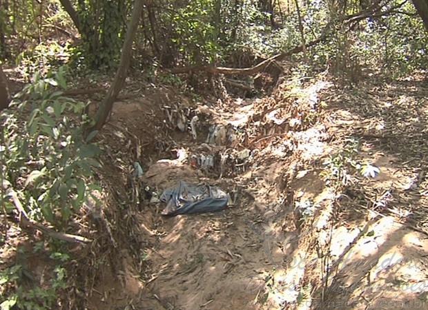 Mais da metade das nascentes na região de Rio Preto-SP secou, segundo estudo
