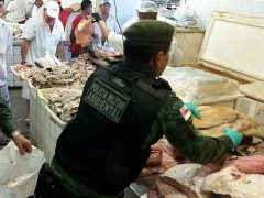 300kg de peixes apreendidos no mercado de Manaus