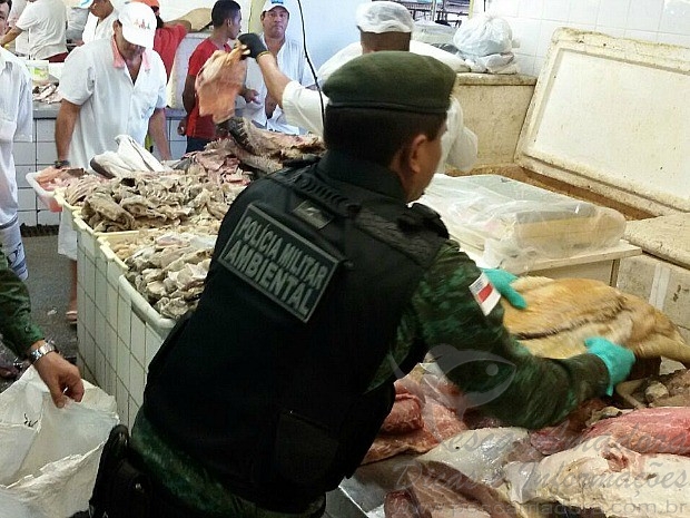 Cerca de 300 kg de pescado ilegal são apreendidos em feira de Manaus