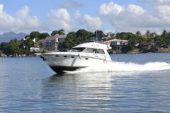 aberta-a-temporada-de-pesca-esportiva-oceanica-no-estado-do-es