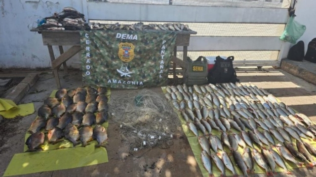 Ação integrada combate crime de pesca predatória no rio Cuiabá em MT