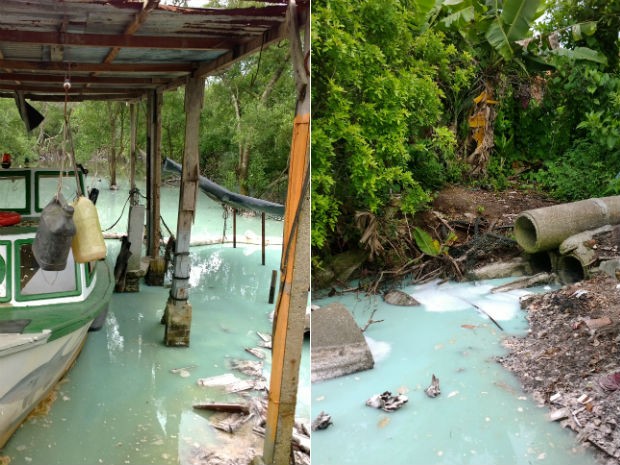 Prefeitura de Paranaguá proíbe pesca em mangue contaminado