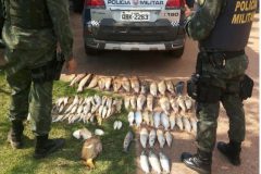 ambiental-prende-quatro-pessoas-e-apreende-40-kg-de-pescado-ilegal-em-mato-grosso