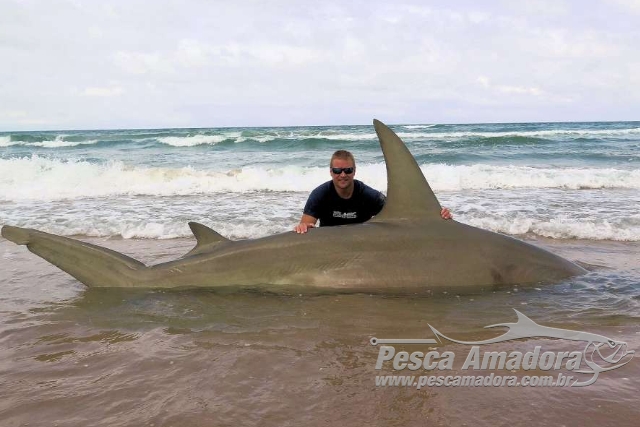 Americano pesca Tubarão-Martelo de quase 4m na Costa do Texas-USA