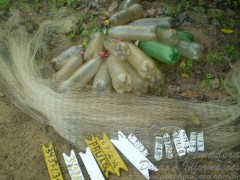 Anzol de galho e joao bobo no MS