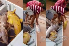 Apos vIdeo viralizar policia autua tres por pesca ilegal em Rondonopolis-MT