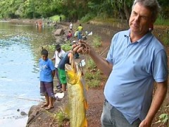 Aposentado exibe dourado pescado em Pirassununga (Foto: Ely Venâncio/EPTV)