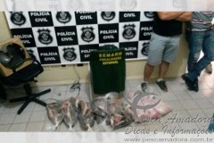 Apreensao de pescado durante operacao araguaia em Goias