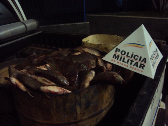Cinco são presos por  pesca ilegal no Lago de Furnas em MG