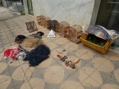 Apreensao em Mutum-MG