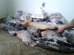 Apreensao realizada em Uberlandia-MG