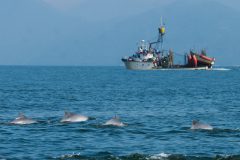 Atuneiro pescando em area de preservacao na Baia de Sepetiba-RJ