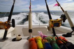 BBC Earth apresenta a maratona de pesca The Big Catch nesse sabado