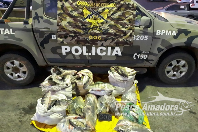 BPMA prende dois infratores e apreende 200 kg de pescado ilegal em Planaltina (DF)