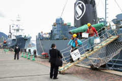 Baleeiros Japoneses abatem 333 baleias sendo 230 baleias femeas gravidas