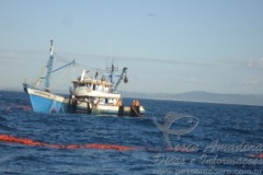 Barco de arrasto de tainha e autuado em 122 mil por pesca ilegal 2