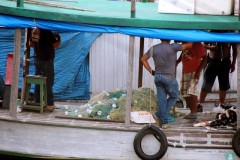 Barco e apreendido com mais de uma tonelada de tucunares em Barcelos-AM 2