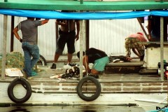 Barco e apreendido com mais de uma tonelada de tucunares em Barcelos-AM