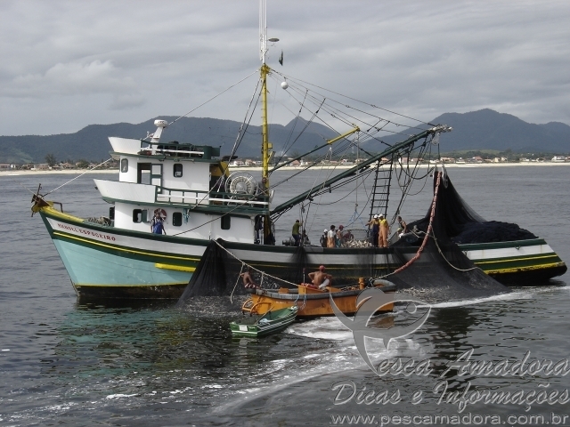 Instituto de Pesca lança site que mostra atividade pesqueira no estado de SP