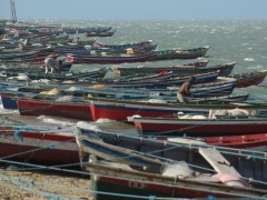 ProFrota beneficiará pescadores e barco antigos poderão ser declarados como garantia