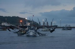 Barcos utilizados na pesca de arrasto