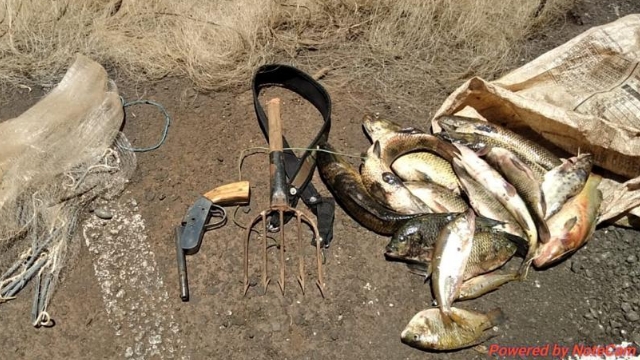 Batalhão Ambiental apreende materiais de pesca e caça ilegal no Alagado de Salto Santiago, no Paraná