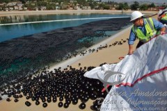 Bolas pretas sao usadas para conter seca nos reservatorios da California