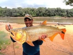Homem pesca dourado de 11kg e 95cm no Rio Mogi em Pirassununga (Foto: Fabio Sussel/ Arquivo Pessoal)