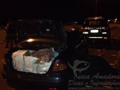 Camarao apreendido pela PF em Santa Catarina 2